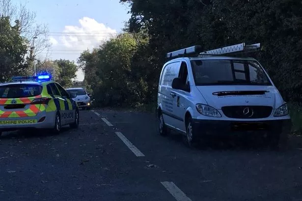 Fallen trees bring Chester roads to a standstill as heavy winds rage on